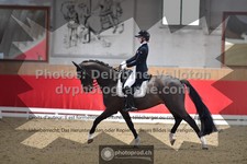 ref. photo 3504169