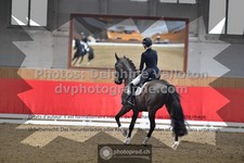 ref. photo 3504174