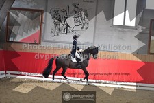 ref. photo 3504175