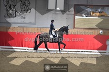 ref. photo 3504180