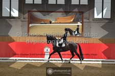ref. photo 3504204