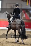 ref. photo 3504211