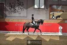 ref. photo 3504213