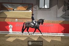 ref. photo 3504214