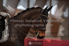 ref. photo 3504221