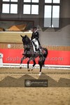 ref. photo 3504237