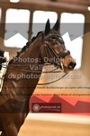 ref. photo 3504247