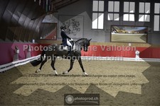 ref. photo 3504252
