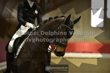 ref. photo 3504257