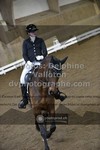 ref. photo 3504271