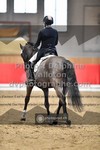 ref. photo 3504311