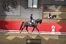 ref. photo 3504313