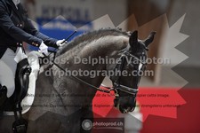 ref. photo 3504322