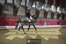 ref. photo 3504353