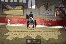 ref. photo 3504359