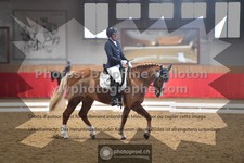 ref. photo 3504393