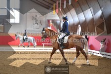 ref. photo 3504396