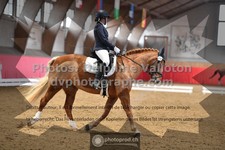 ref. photo 3504399