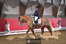 ref. photo 3504408