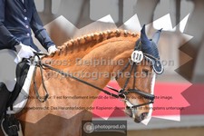 ref. photo 3504409