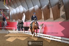 ref. photo 3504413