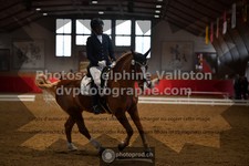ref. photo 3504417