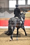 ref. photo 3504434