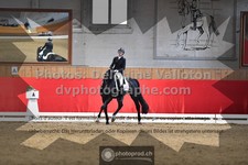ref. photo 3504436