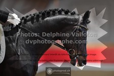 ref. photo 3504441