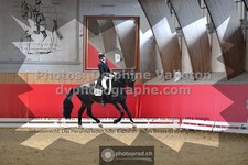 ref. photo 3504459