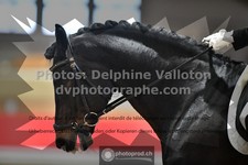 ref. photo 3504483