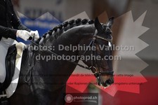 ref. photo 3504484