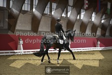 ref. photo 3504516