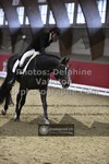 ref. photo 3504524
