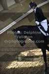 ref. photo 3504529