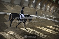 ref. photo 3504533