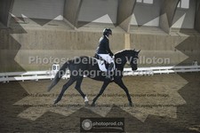 ref. photo 3504541
