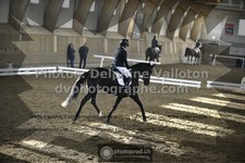 ref. photo 3504542