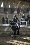 ref. photo 3504547