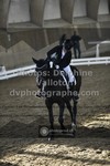 ref. photo 3504549