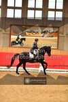 ref. photo 3504554