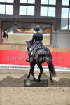 ref. photo 3504561