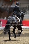 ref. photo 3504578
