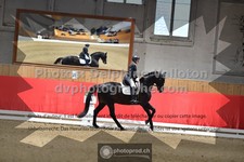 ref. photo 3504588