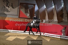 ref. photo 3504589