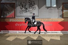 ref. photo 3504595