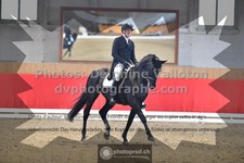 ref. photo 3504609