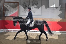 ref. photo 3504621