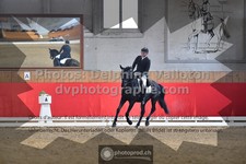 ref. photo 3504631