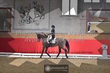 ref. photo 3504670